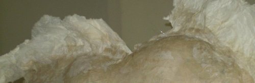 2 Exposé (Pubblico)blog